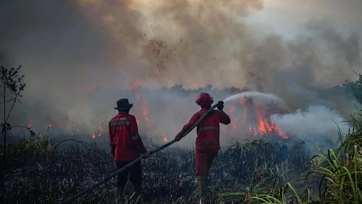 Asap Tebal Tunda Operasi Lima Helikopter Pemadam Karhutla di Sumatera Selatan