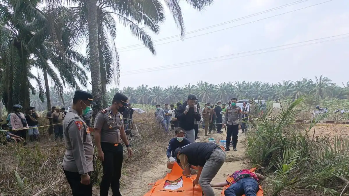 Identitas Yulia Terungkap, Polisi Tunggu Hasil Autopsi Jenazah di Perkebunan Mesuji