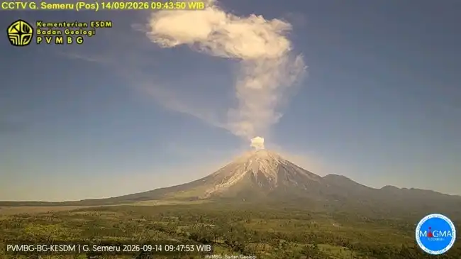 Gunung Semeru Erupsi, Status Siaga dan Kolom Abu Mencapai 3.876 Meter