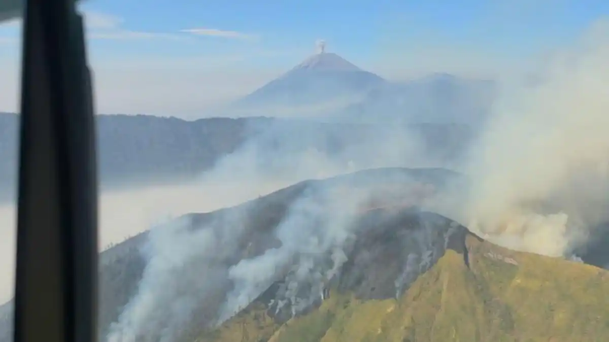 Tiga Orang Tewas dalam Pemadaman Karhutla di Mentigen, Bromo