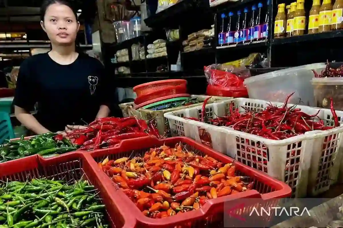 Peta Harga Pangan Nasional: Cabai Rawit Merah Tembus Rp102.250 per Kilogram