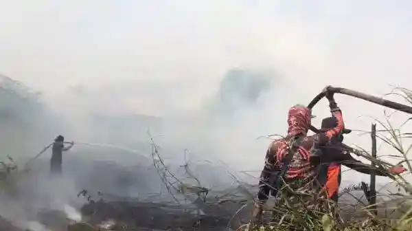 Api Gambut di Sampit Kembali Berkobar, Pemadaman Terkendala Jalan Padat