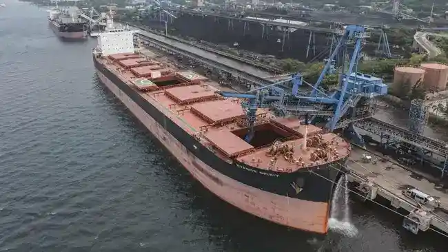 PTBA Catat Lonjakan Laba, Opsi Buyback Saham Masih Dikaji