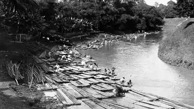 Geger Pecinan 1740: Ketakutan, Perlawanan, dan Pembantaian di Batavia