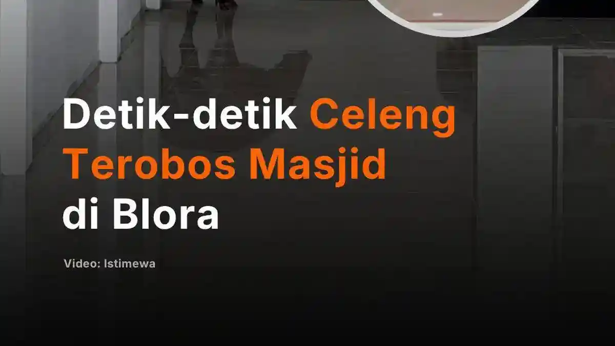 Celeng 90 Kilogram Terobos Masjid Agung An Nur di Blora