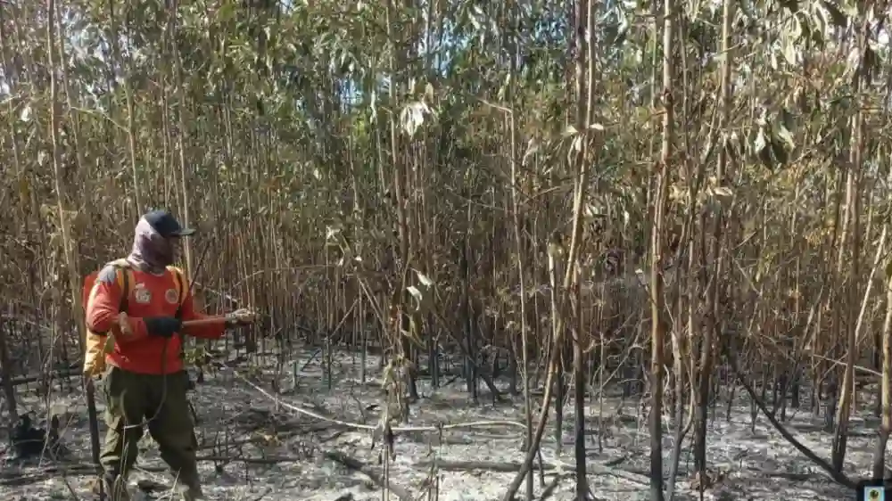 Dukungan Rp10 Miliar untuk Penanganan Karhutla di Tabalong