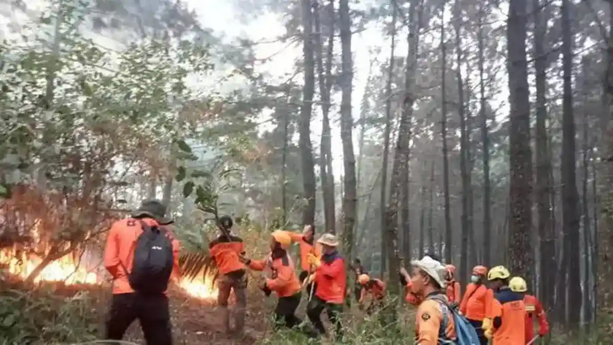 Satu Titik Api Masih Tersisa dalam Karhutla Gunung Lawu