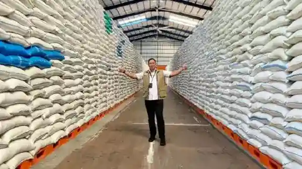 Cadangan Beras Indonesia Tembus 4,5 Juta Ton, Data Regional Perlu Dibaca dengan Cermat