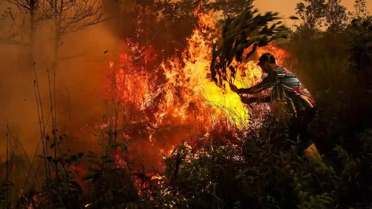 20 Korporasi Jadi Tersangka Kebakaran Hutan dan Lahan, Luas Terdampak 29 Ribu Hektare