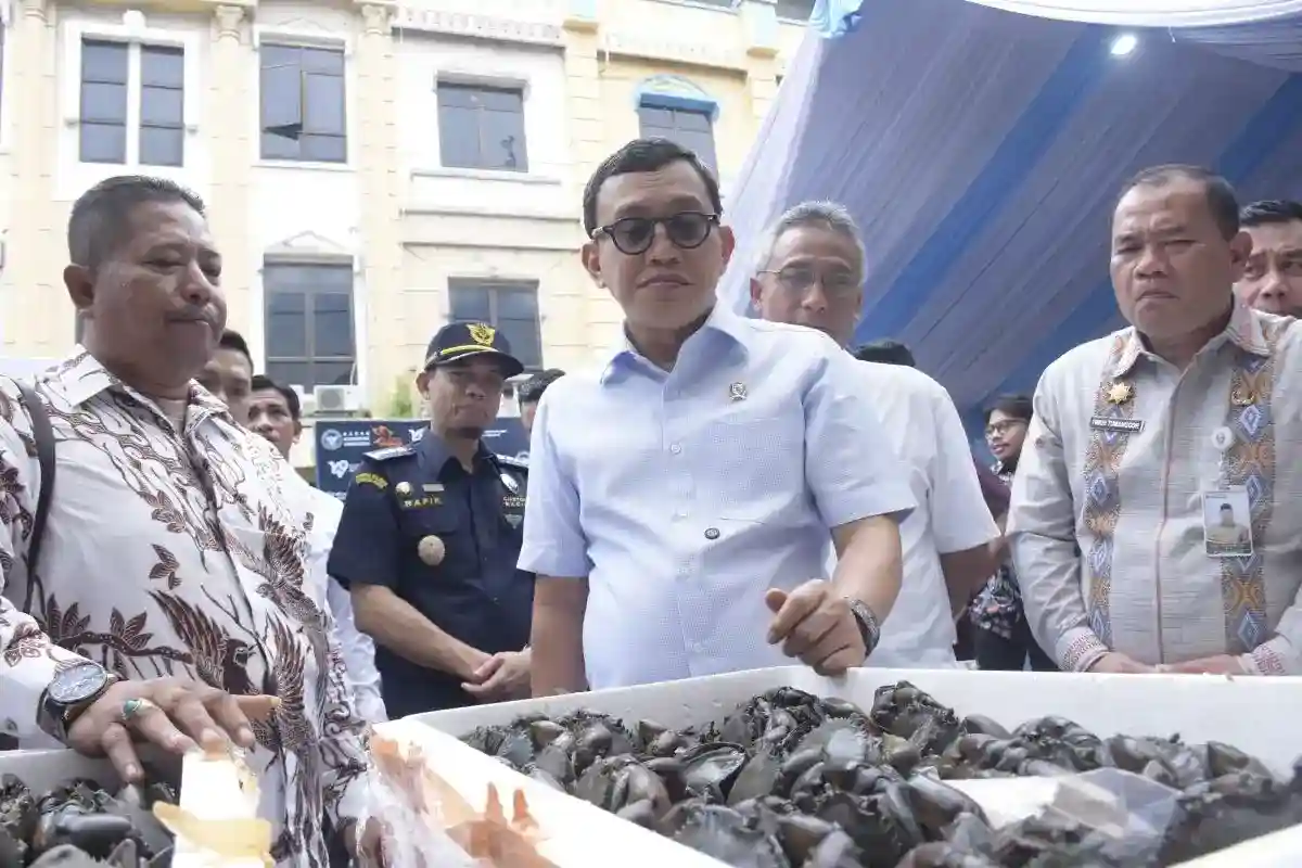 Ekspor Sumatera Utara Tembus Rp258,97 Miliar, Menjangkau 14 Negara