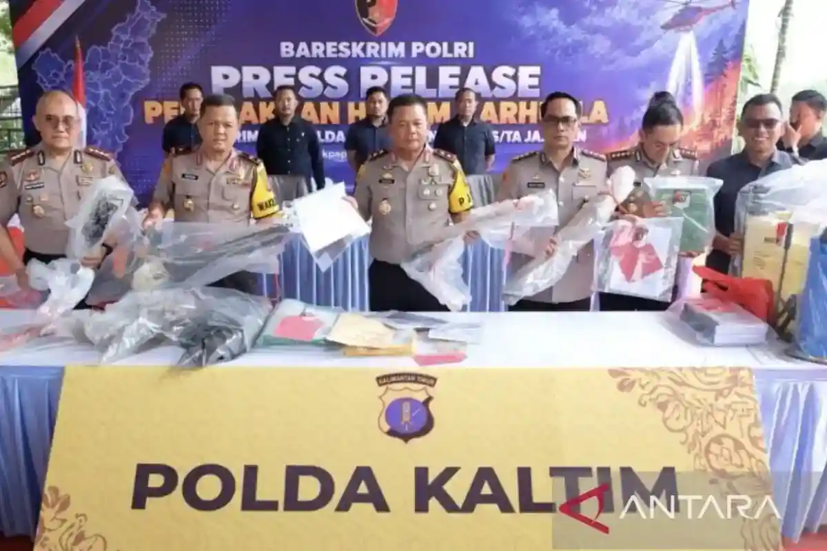 33 Tersangka Karhutla di Kaltim: Penanganan Kasus dan Luas Dampaknya