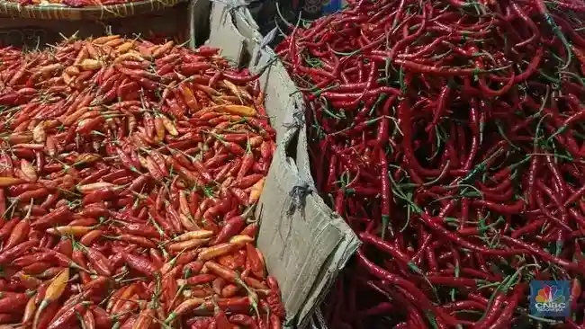 BI Soroti Inflasi Pangan, Harga Cabai Disebut Setara Daging Sapi